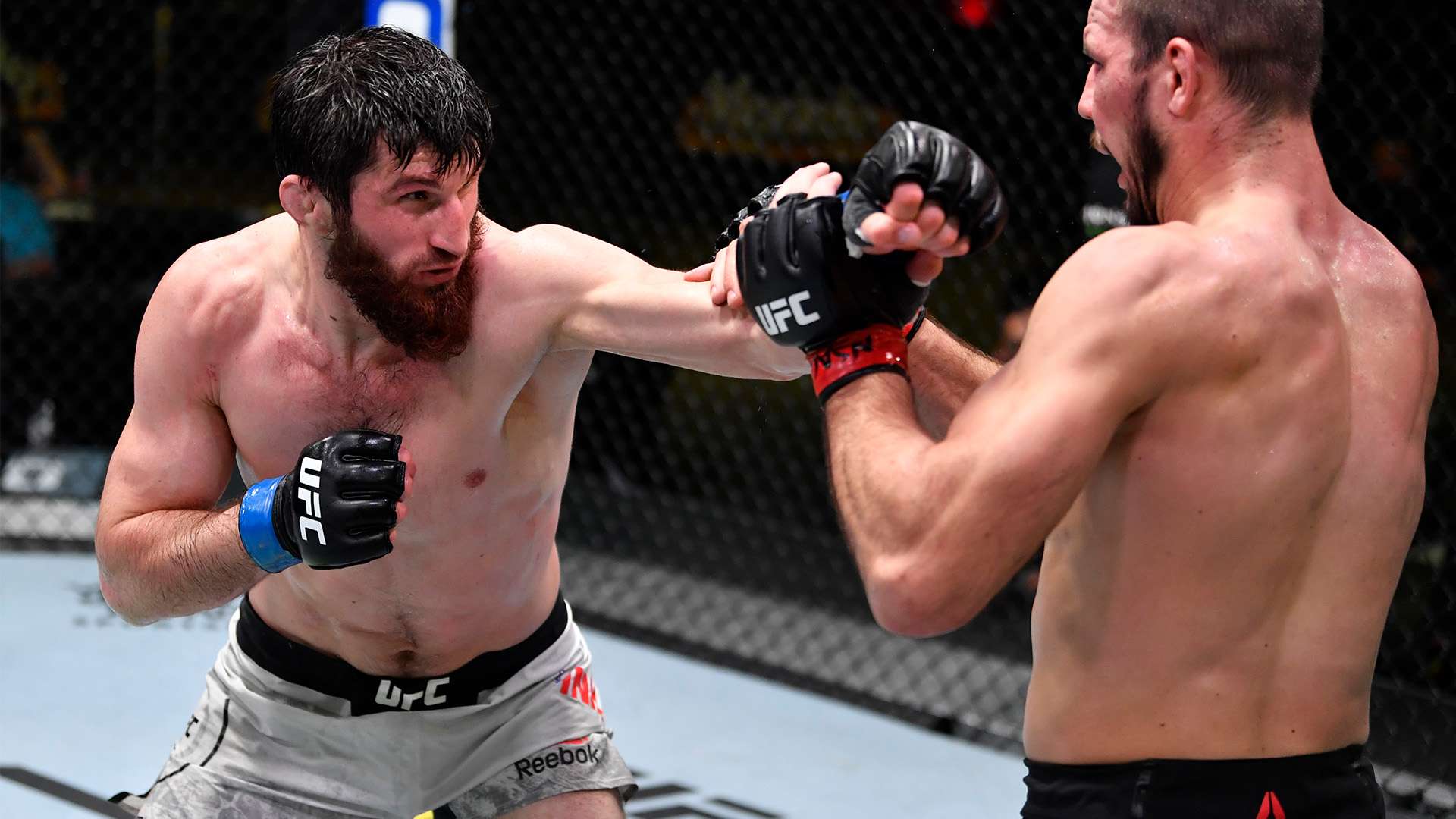 相比加布里 相比加布里