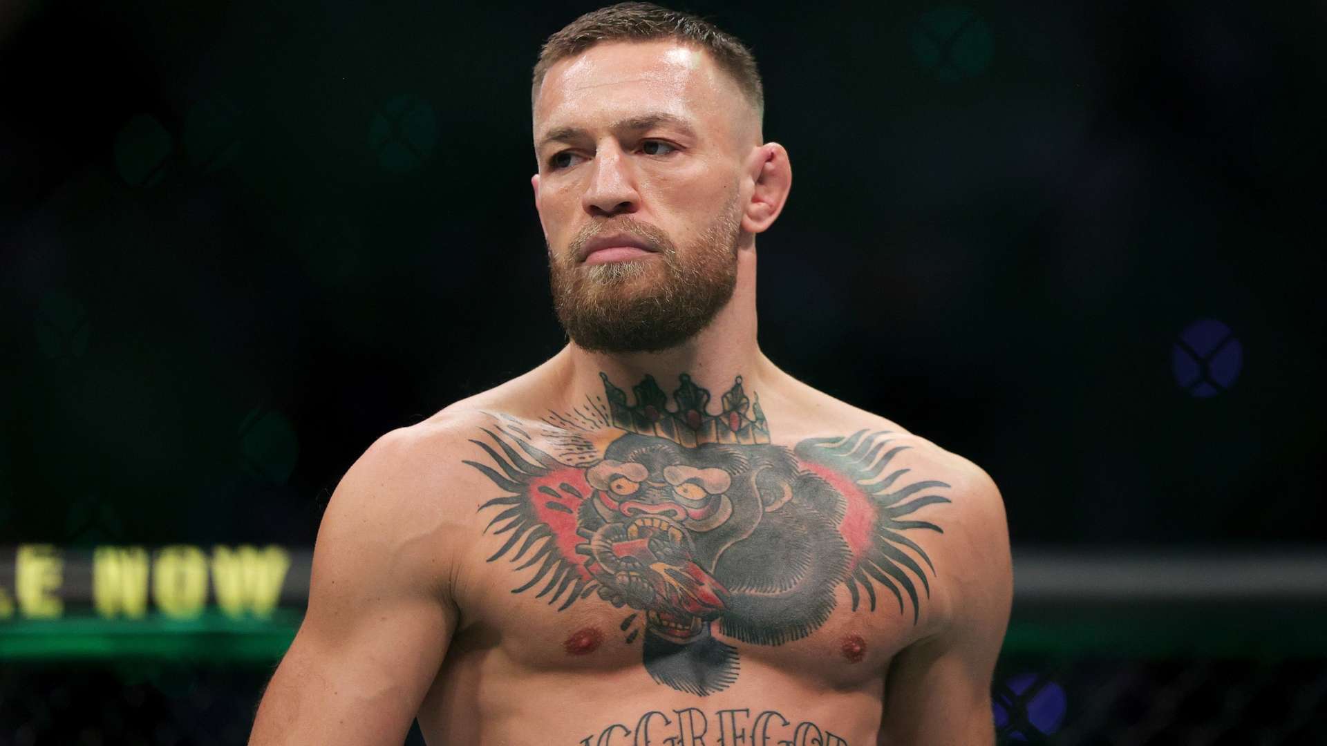 对一个又一 对一个又一